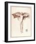 Icarus with a Quite Inadequate Pair of Wings-Peiresc-Framed Art Print