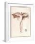 Icarus with a Quite Inadequate Pair of Wings-Peiresc-Framed Art Print