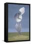 Icarus-John Armstrong-Framed Stretched Canvas
