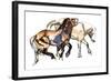 Ice Age (Przewalski), 2012-Mark Adlington-Framed Giclee Print