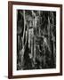 Ice and Branch, Oregon, 1971-Brett Weston-Framed Photographic Print