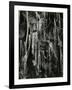 Ice and Branch, Oregon, 1971-Brett Weston-Framed Photographic Print