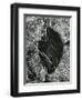 Ice and Leaf, Yosemite, California, 1972-Brett Weston-Framed Photographic Print