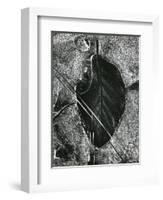 Ice and Leaf, Yosemite, California, 1972-Brett Weston-Framed Photographic Print