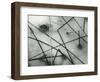 Ice and Reeds, California, 1962-Brett Weston-Framed Photographic Print