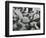 Ice and Rock , c. 1970-Brett Weston-Framed Photographic Print