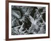 Ice and Rock, c. 1970-Brett Weston-Framed Photographic Print