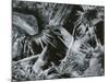 Ice and Rock, c. 1970-Brett Weston-Mounted Photographic Print