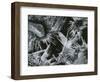 Ice and Rock, c. 1970-Brett Weston-Framed Photographic Print