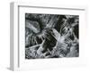 Ice and Rock, c. 1970-Brett Weston-Framed Photographic Print