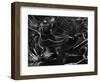 Ice and Rock, Mono Lake, California, c. 1970-Brett Weston-Framed Photographic Print