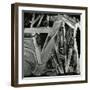 Ice and Rock, Oregon, 1971-Brett Weston-Framed Photographic Print