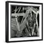 Ice and Rock, Oregon, 1971-Brett Weston-Framed Photographic Print