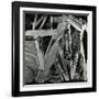 Ice and Rock, Oregon, 1971-Brett Weston-Framed Photographic Print