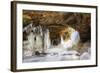 Ice Arch-dendron-Framed Photographic Print