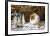 Ice Arch-dendron-Framed Photographic Print