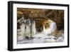 Ice Arch-dendron-Framed Photographic Print