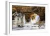 Ice Arch-dendron-Framed Photographic Print