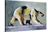 Ice Bear, 1998-Mark Adlington-Stretched Canvas