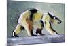 Ice Bear, 1998-Mark Adlington-Mounted Giclee Print