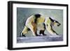 Ice Bear, 1998-Mark Adlington-Framed Giclee Print