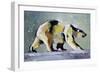 Ice Bear, 1998-Mark Adlington-Framed Giclee Print