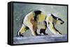 Ice Bear, 1998-Mark Adlington-Framed Stretched Canvas