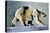 Ice Bear, 1998-Mark Adlington-Stretched Canvas