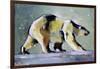 Ice Bear, 1998-Mark Adlington-Framed Giclee Print