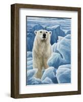 Ice Bear Polar Bear-Jeremy Paul-Framed Giclee Print