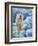 Ice Bear Polar Bear-Jeremy Paul-Framed Giclee Print