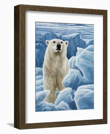 Ice Bear Polar Bear-Jeremy Paul-Framed Giclee Print