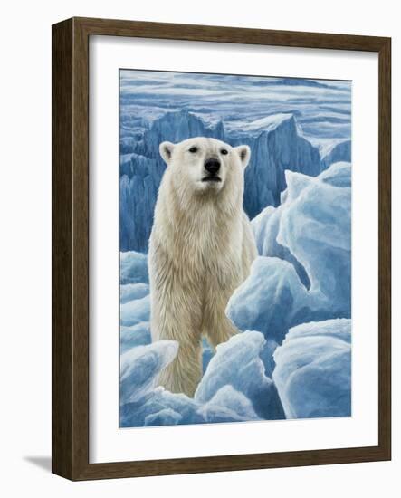 Ice Bear Polar Bear-Jeremy Paul-Framed Giclee Print