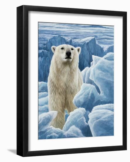 Ice Bear Polar Bear-Jeremy Paul-Framed Giclee Print