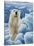 Ice Bear Polar Bear-Jeremy Paul-Stretched Canvas