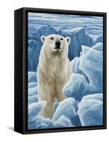 Ice Bear Polar Bear-Jeremy Paul-Framed Stretched Canvas