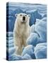 Ice Bear Polar Bear-Jeremy Paul-Stretched Canvas