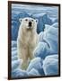 Ice Bear Polar Bear-Jeremy Paul-Framed Giclee Print