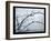 Ice Branch 1-Gordon Semmens-Framed Giclee Print