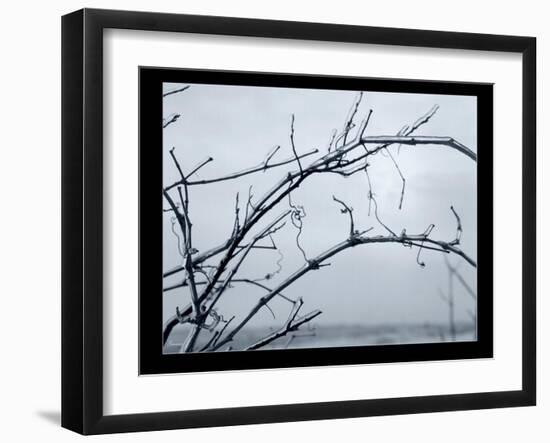 Ice Branch 1-Gordon Semmens-Framed Giclee Print