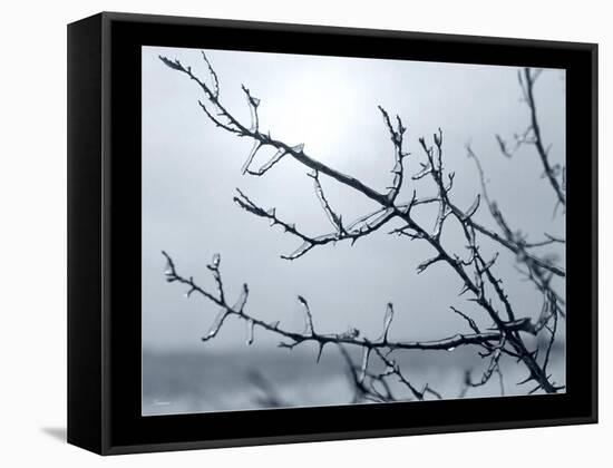 Ice Branch 2-Gordon Semmens-Framed Stretched Canvas