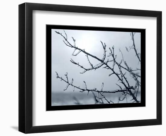 Ice Branch 2-Gordon Semmens-Framed Giclee Print