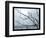 Ice Branch 2-Gordon Semmens-Framed Giclee Print