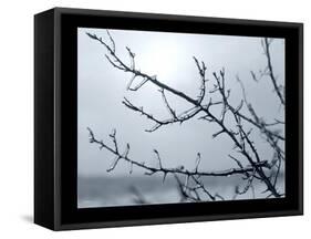 Ice Branch 2-Gordon Semmens-Framed Stretched Canvas