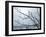 Ice Branch 2-Gordon Semmens-Framed Giclee Print