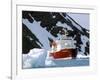 Ice-Breaker Tour Ship, Krossfjorden Icebergs, Spitsbergen, Svalbard, Norway, Scandinavia-Tony Waltham-Framed Photographic Print