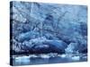 Ice Breaking off Glacier-Mick Roessler-Stretched Canvas