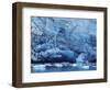 Ice Breaking off Glacier-Mick Roessler-Framed Photographic Print