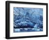 Ice Breaking off Glacier-Mick Roessler-Framed Photographic Print