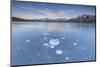 Ice bubbles on the frozen surface of Andossi Lake at sunrise Spluga Valley Valtellina Lombardy Ital-ClickAlps-Mounted Photographic Print